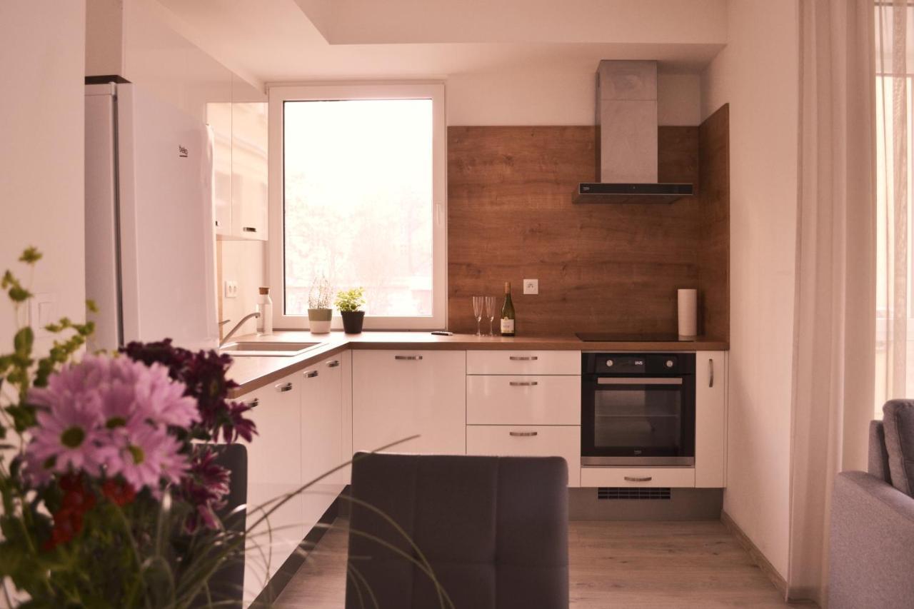 Elegant Escape Apartment I - City Centre ブラチスラヴァ エクステリア 写真